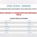 Uchaguzi wa Kidato cha Tano na Vyuo vya Kati, 2025 - Form Five Slection 2025