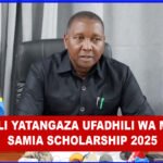 Samia Scholarship 2025