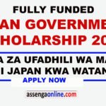 🎓 Study in Japan: Exciting Scholarship Opportunities for Tanzanian Students 2025/2026