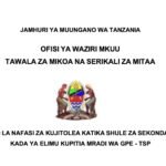 Volunteer Teaching Opportunities in Tanzania Through the GPE-TSP Project 2026