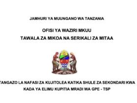 Volunteer Teaching Opportunities in Tanzania Through the GPE-TSP Project 2026