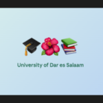 Coneection Mwananfunzi wa UDSM